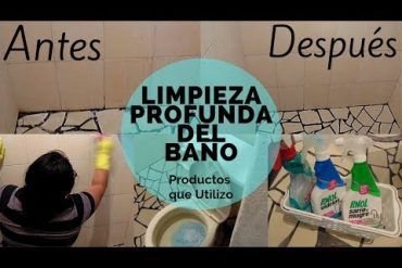 limpieza con ozono coche