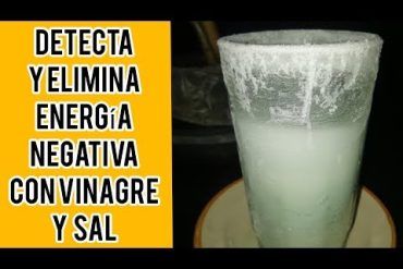 horno limpieza vapor