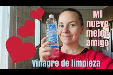 limpieza de lavavajillas con vinagre y bicarbonato