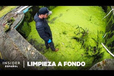 rutina de limpieza de casa española