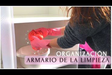dia de limpieza